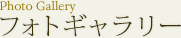 フォトギャラリー
