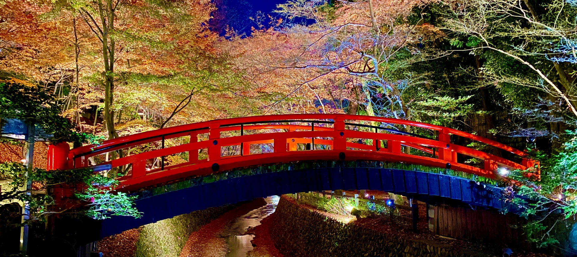 京都の紅葉スポット5選